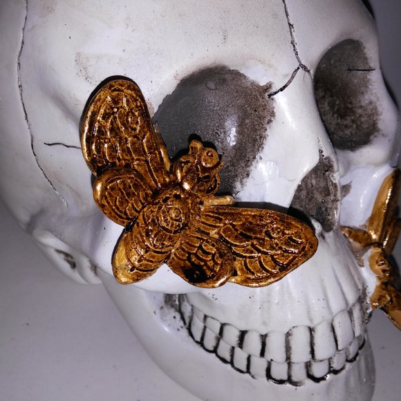 Halloween Decoration Skull Gold Bugs White Creepy Skeleton Head Home Decor Brand - Picture 4 of 13